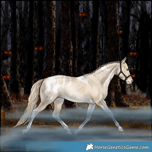 Horse Color:Liver Red Dun Snowdrop Pearl Tobiano Appaloosa Rabicano 