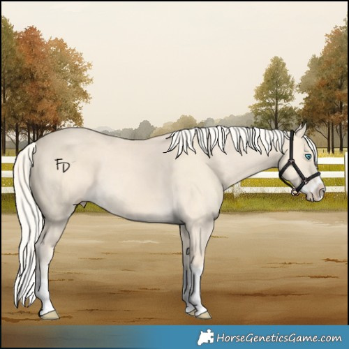 Horse Color:Cremello Splash  and Cremello Splash 