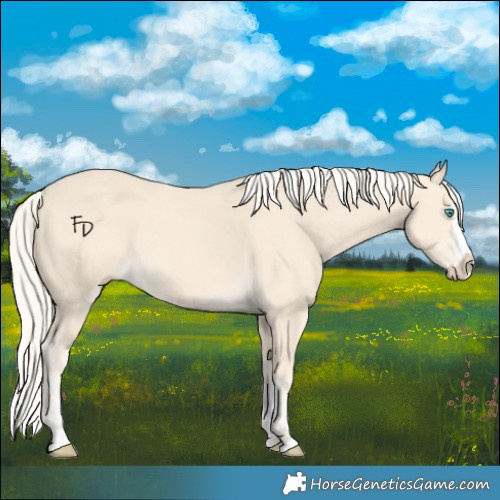 Horse Color:Cremello Splash  and Cremello Splash 