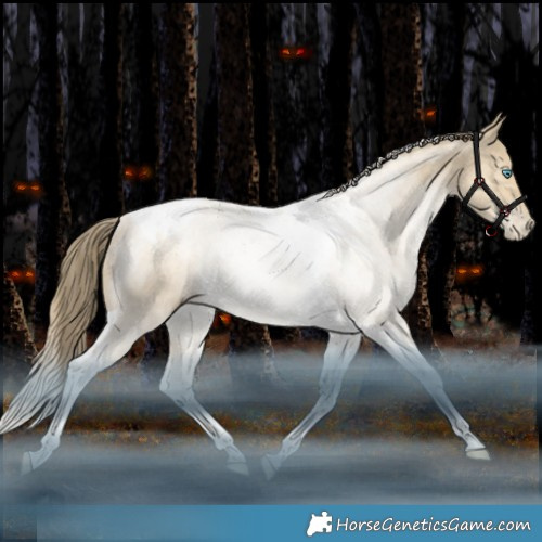 Horse Color:Bay Snowdrop Pearl Dun Tobiano Rabicano 