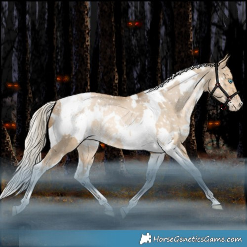 Horse Color:White Spotted Liver Red Dun Snowdrop Pearl Tobiano Appaloosa Rabicano