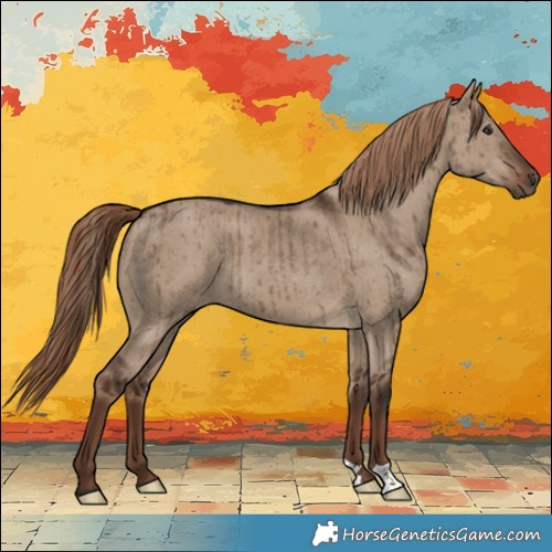 Horse Color:Liver Red Dun Brindle 