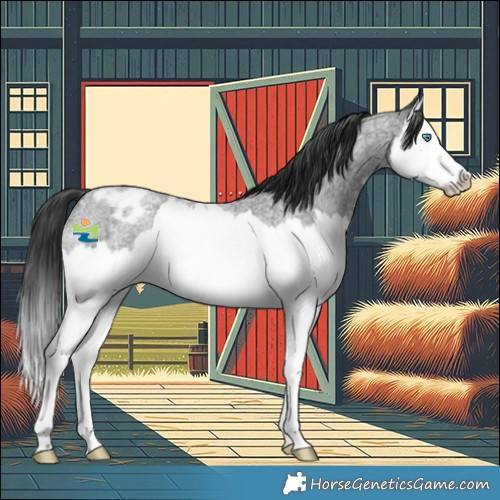 Horse Color:Blue Roan Splash Varnish Rabicano 