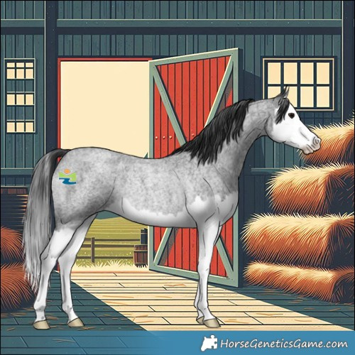 Horse Color:Blue Roan Splash Rabicano 