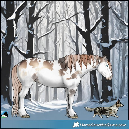 Horse Color:White Spotted Liver Red Onyx Splash Rabicano