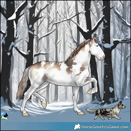 Horse Color:White Spotted Liver Red Onyx Splash Rabicano