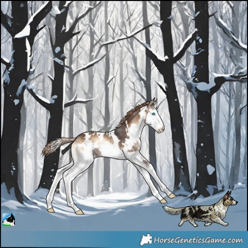 Horse Color:White Spotted Liver Red Onyx Splash Rabicano