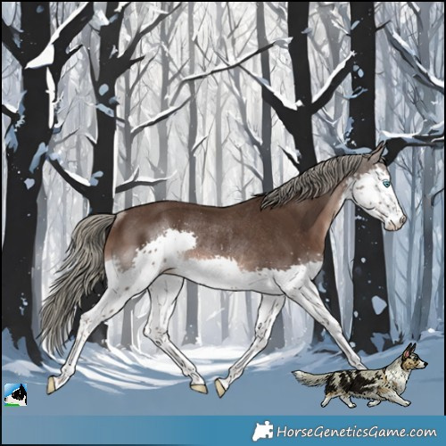 Horse Color:Liver Chestnut Mushroom Splash Rabicano