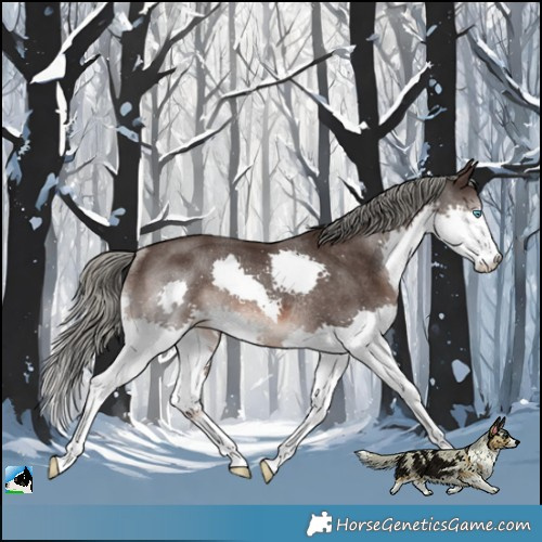 Horse Color:Liver Chestnut Mushroom Splash Rabicano