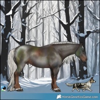 Horse Color:Liver Chestnut Mushroom Rabicano