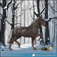 Horse Color:Liver Chestnut Mushroom Rabicano 