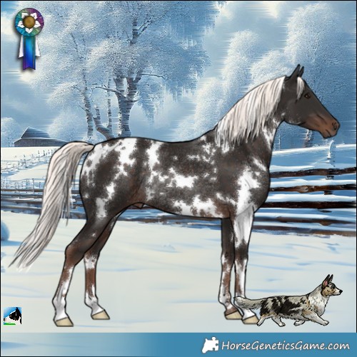 Horse Color:White Spotted Liver Chestnut Mushroom Rabicano 