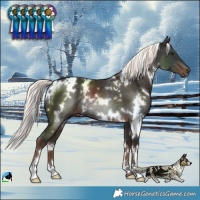 Horse Color:White Spotted Liver Chestnut Mushroom Rabicano 