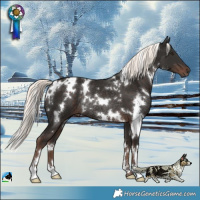 Horse Color:White Spotted Liver Chestnut Mushroom Rabicano