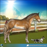 Horse Color:Chocolate Palomino Mushroom