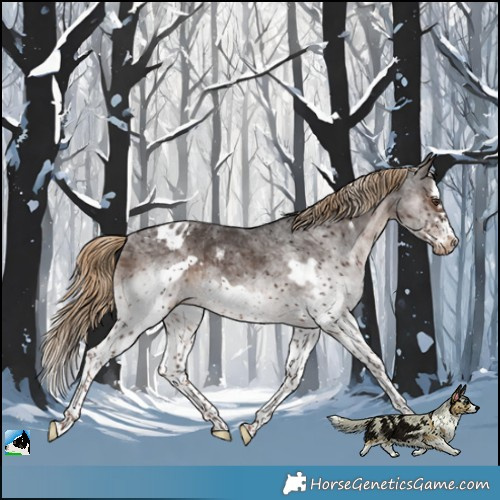 Horse Color:White Spotted Liver Chestnut Splash Frame Blanket Rabicano