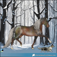 Horse Color:Liver Chestnut Mushroom 
