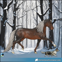 Horse Color:Liver Chestnut Mushroom