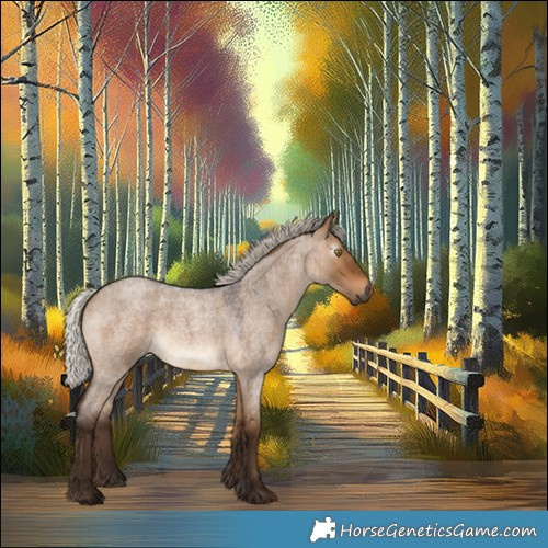 Horse Color:Gray Silver Bay Roan Dun