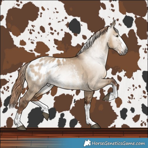 Horse Color:Gray Liver Red Dun Sabino Splash Blanket 