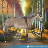 Horse Color:Gray Silver Grullo