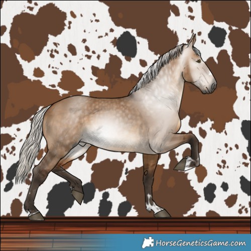 Horse Color:Gray Silver Bay Dun 