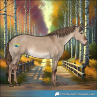 Horse Color:Liver Red Dun
