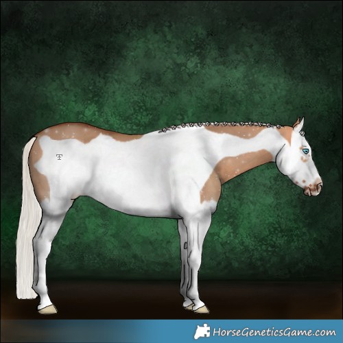 Horse Color:Silver Bay Dun Splash Frame 