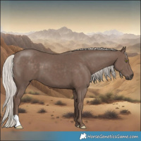 Horse Color:Silver Black 