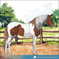 Horse Color:Chestnut Tobiano