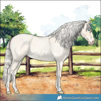 Horse Color:Cremello Roan
