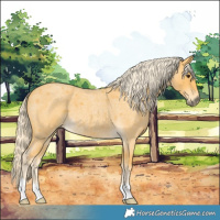 Horse Color:Palomino Roan