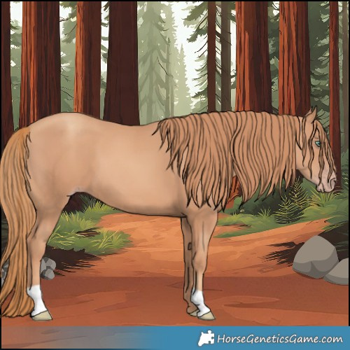 Horse Color:Gold Champagne