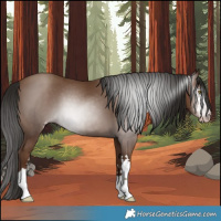 Horse Color:Gray Classic Champagne