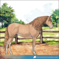 Horse Color:Gold Champagne