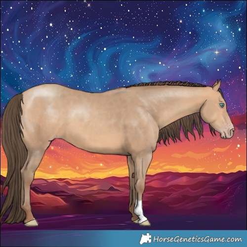 Horse Color:Amber Champagne