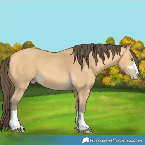 Horse Color:Amber Cream Champagne