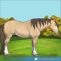 Horse Color:Amber Cream Champagne 