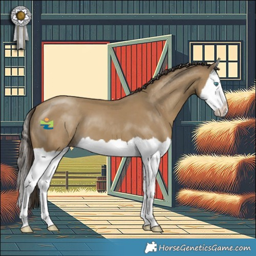 Horse Color:Classic Cream Champagne Splash 