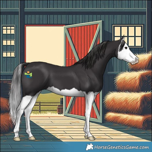 Horse Color:Smoky Black Splash 