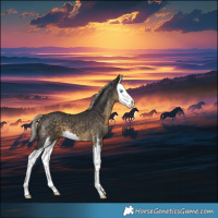 Horse Color:Silver Smoky Black Sabino Splash