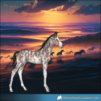Horse Color:Gray Liver Chestnut Sabino