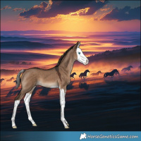 Horse Color:Liver Red Dun Splash 