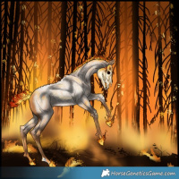Horse Color:Red Roan