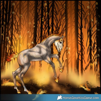 Horse Color:Red Roan 