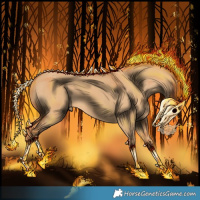 Horse Color:Red Dun
