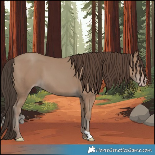 Horse Color:Classic Champagne