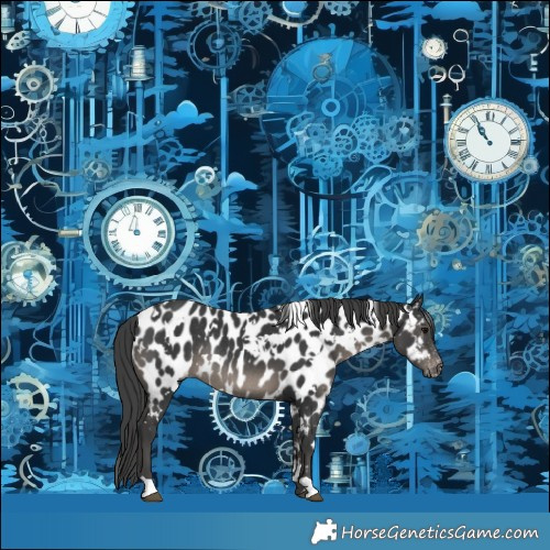 Horse Color:White Spotted Black Near Leopard Rabicano 