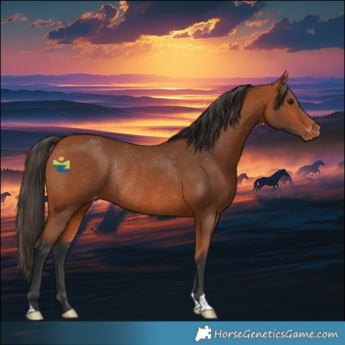Horse Color:Bay Varnish Rabicano 