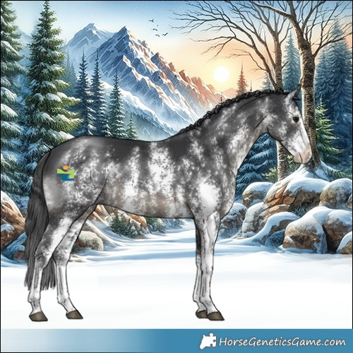 Horse Color:Black Sabino 